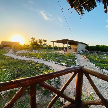 مبيت وإفطار نونغوي Habibis Bottle House المظهر الخارجي الصورة