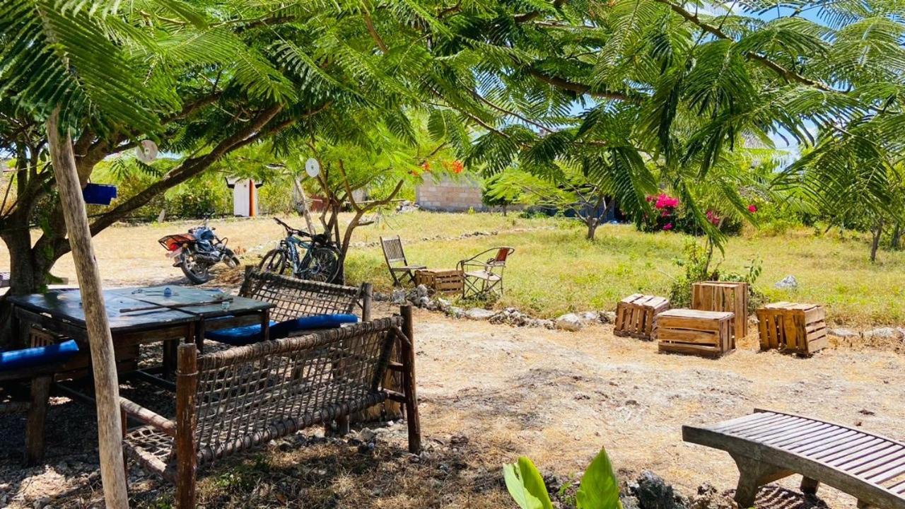 مبيت وإفطار نونغوي Habibis Bottle House المظهر الخارجي الصورة